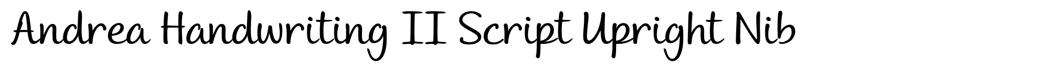 Andrea Handwriting II Script Upright Nib image